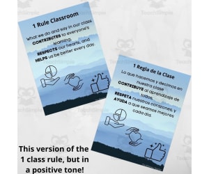 Class Rule Posters