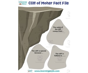 Cliff of Moher Activity