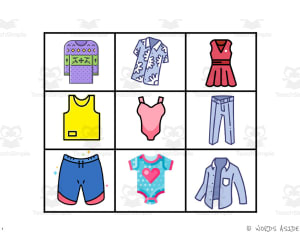 Cognitive Perceptual Boards | Clothes Pack 1