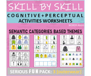 Cognitive Perceptual Worksheets | Category Themes | 3