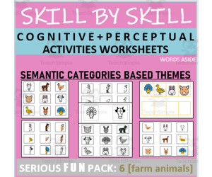 Cognitive Perceptual Worksheets | Category Themes | 6