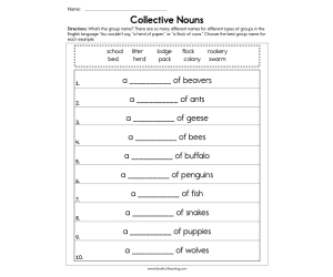 Collective Nouns Worksheet