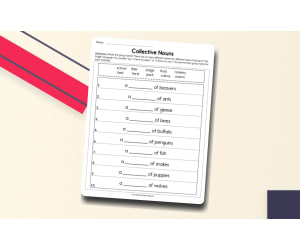 Collective Nouns Worksheet