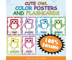 Color Poster Classroom Decor in Owl Theme - 100% Editable