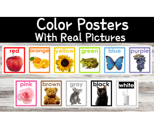 Color Posters with Real Pictures