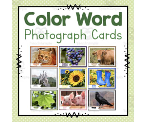 Color Word Photo Cards | Learning Colors | Preschool Worksheets