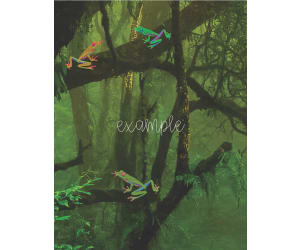 Colorful Tree Frogs Clipart