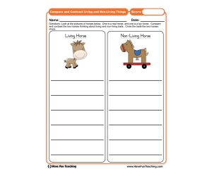 Compare and Contrast Living and Non Living Things Worksheet
