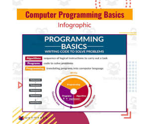 Computer Programming Basics