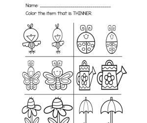 Concept Development Worksheets, Spring, Special Ed
