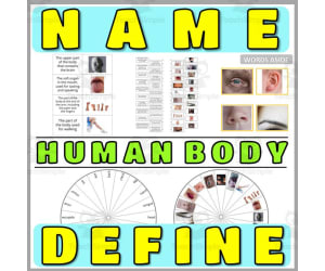 Concept Nouns Naming and Definitions 5