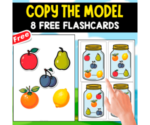 COPY THE MODEL | 8 FLASHCARDS | BRAIN GAME