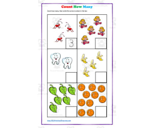 Count How Many Worksheet