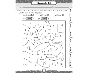 Counting, Numerals and Number Words