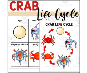Crab Life Cycle Poster and Sequencing Cards