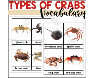 Crab Vocabulary Words - Types of Crabs