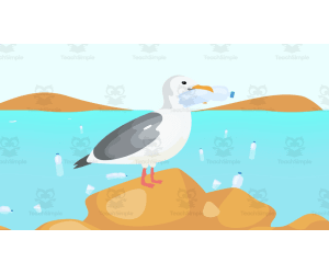 Crying Oceans | Animated Ocean Video Lesson