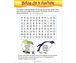 Curious Critters Word Search: Volume 3 Activity Book