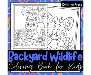 Cute Critters in Your Own Backyard! A Kawaii Animal Coloring Book