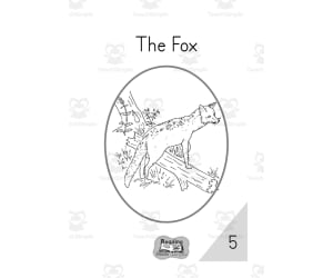 CVC Decodable Reading Book 5