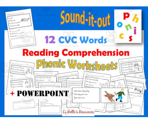 CVC Words Fully Decodable Reading Comprehension Passages and Exercises NO PREP!