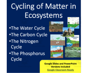 Cycling of Matter in Ecosystems Lesson - Google Slides and Distance Learning