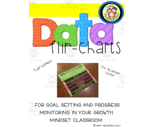 Data Flip Charts