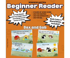 Dax and Gab Beginner Reader Fry Sight Words