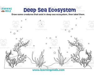 Deep Sea Ecosystem Activity
