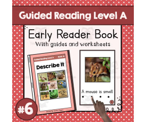 "Describe It" | Early Reader Book #6 | Guided Reading Level A