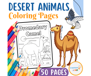 Desert Animals Coloring Pages.