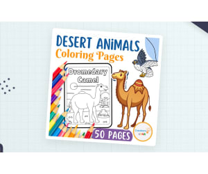 Desert Animals Colouring Pages.