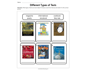 Different Types of Text Worksheet