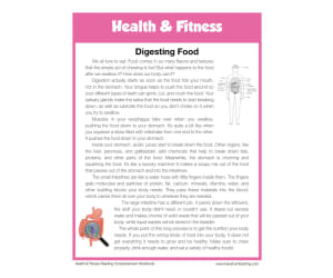 Digesting Food Health and Fitness Reading Comprehension Worksheet