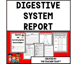 Digestive System Activities | Digestive System Research Report