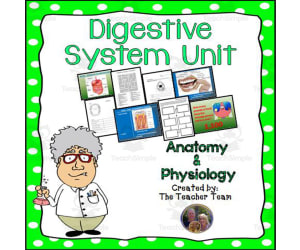 Digestive System Unit | Anatomy and Physiology