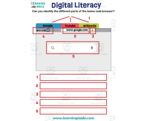 Digital Literacy Activity