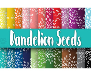 DIgital Paper: Dandelion Seeds