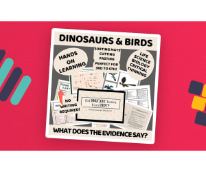 Dinosaur Activities - Are Dinosaurs and Birds Related?