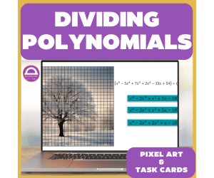 Dividing Polynomials Pixel Art and Printable Task Cards & Worksheets