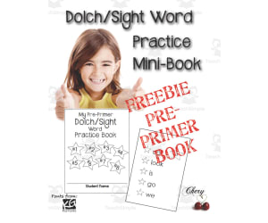Dolch Sight Word Practice Mini-Book