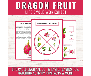 Dragon Fruit Life Cycle Tropical Plant Science Unit Study Cut & Paste