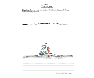 Drawing Ocean Animals Worksheet