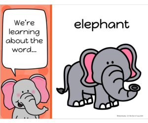 Early Reading and Spelling: Edmark Level 1
