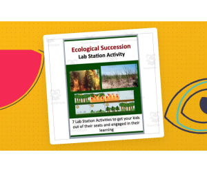 Ecological Succession – Lab Station Activity