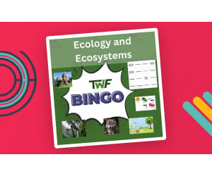 Ecology and Ecosystems Science BINGO Activity