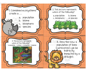 Ecology & Interdependence Task Cards
