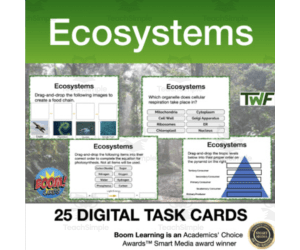 Ecosystems and Energy Flow Digital Boom Cards