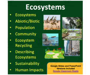 Ecosystems Lesson - Google Slides and Distance Learning Ready