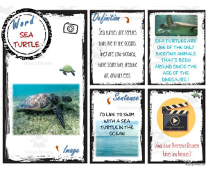EDITABLE digital WORD JOURNAL / vocabulary notebook for PowerPoint